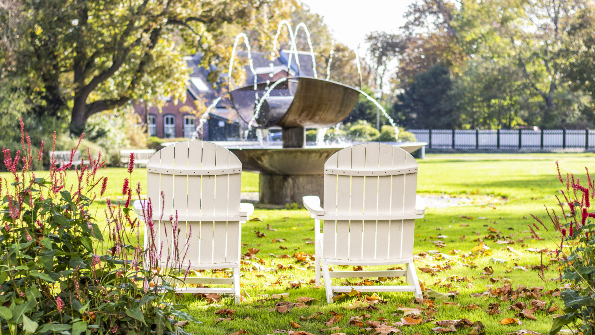 Badhotel Domburg - grasveld