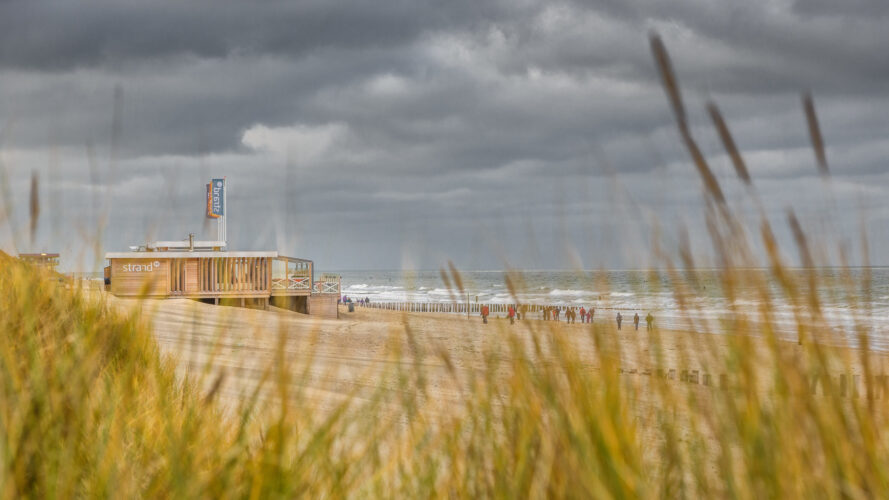 Zeeuwse kust